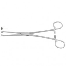 Allis Atrauma Intestinal and Tissue Grasping Forceps Stainless Steel, 20 cm - 8"